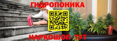 apvp Тверь