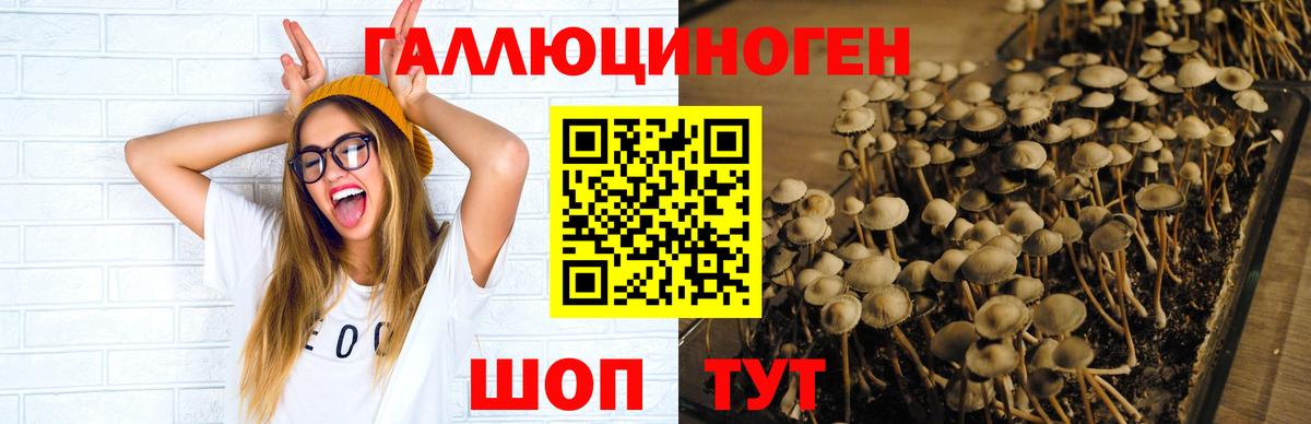 Псилоцибиновые грибы Cubensis  Вход с VPN  Псилоцибиновые грибы Magic Shrooms  Вязьма 